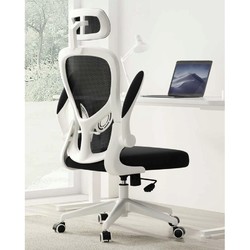 HBADA 黑白调 HDNY163WZ 电脑椅 轻灵弓形款