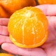 黔阳冰糖橙 9斤小果（60-70枚）