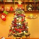 切斯特 圣诞节装饰 圣诞树 1.5m发光松针 随机搭配10种小装饰