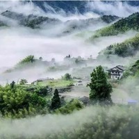 2年只造8间房，每1间收藏四时风景！松阳依山半舍民宿 特色客房1晚含双早+DIY手作等丰富体验