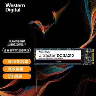 西部数据 960GB 企业级SSD 列 五年质保