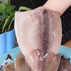 鱿鱼片鱿鱼身鱿鱼筒5斤