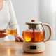 Bear 小熊 煮茶器蒸汽喷淋式玻璃加厚迷你办公室小容量煮茶壶米色