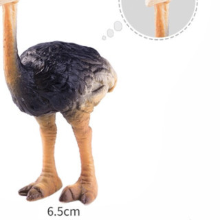 Wenno 鸵鸟 动物模型