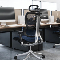 达宝利人体工学电脑椅家用护腰椅久坐舒适办公椅网布靠背椅master