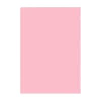 ONHING PAPER 安兴纸业 传美系列 A4彩色复印纸 80g 100张/包*单包 粉红色