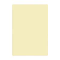 ONHING PAPER 安兴纸业 传美系列 A4彩色复印纸 80g 100张/包*单包 黄色