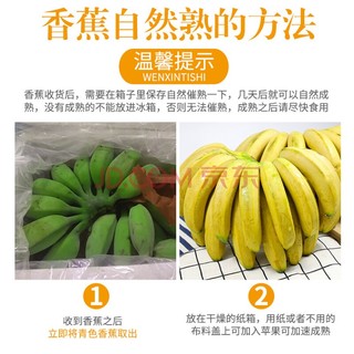 云南高山大香蕉 整箱10斤装 当季水果现割新鲜香蕉孕妇水果 4500g