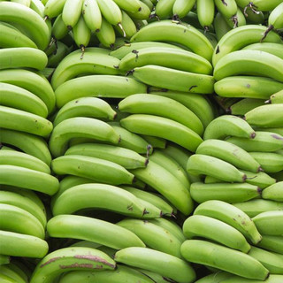 云南高山大香蕉 整箱10斤装 当季水果现割新鲜香蕉孕妇水果 4500g