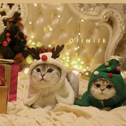 Olimilk 圣誕裝扮小斗篷 寵物衣服 S碼