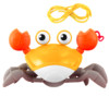 糖宝云 趣味游玩螃蟹-萌趣螃蟹 金黄色