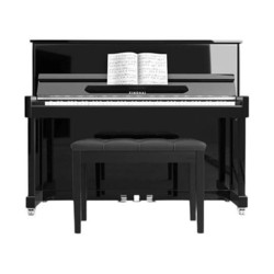 Xinghai 星海 鋼琴XU-123JW立式鋼琴德國進口配件 兒童初學家用專業考級88鍵