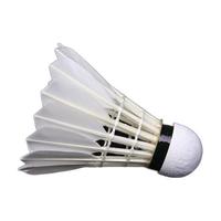 LI-NING 李宁 AD68 羽毛球 AYQH008 白色 77速 12只装