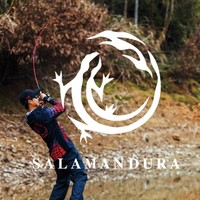 DAIWA 达亿瓦 21新款SALAMANDURA火蜥蜴路亚竿