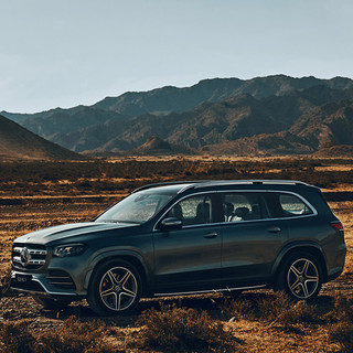 Mercedes-Benz 奔驰 GLS