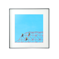 PICA Photo 拾相记 耶内·托伦 Yener Torun《猎鸟》57x57cm 石墨黑合金框