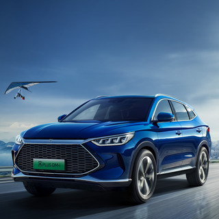 BYD 比亚迪 宋PLUS新能源 21款 DM-i 110KM 旗舰型