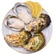 牡蛎海蛎子5斤L号（单只50-100g）