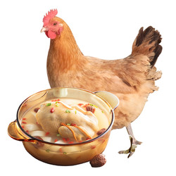 DOYOO 大用 三黄鸡800g/袋 冷冻新鲜鸡肉散养鸡走地鸡煲汤食材 清真食品