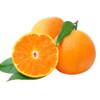 芬果时光 脐橙 大果 2-2.25kg