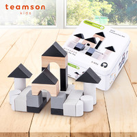 Teamson teamson迪生家积木玩具木制小颗粒铁盒收纳儿童益智游戏宝宝礼物