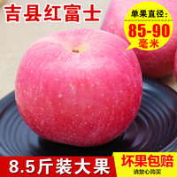 hongkoufu 宏口福 2021山西特产吉县红富士苹果壶口冰糖心苹果脆甜水果新鲜当季现摘（75mm（含）-80mm(不含)、8.5斤）