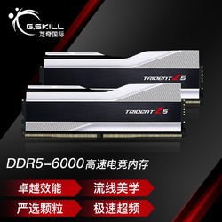 G.SKILL 芝奇 32GB(16Gx2)套装 DDR5 6000频率 台式机内存条-炫锋戟(科技银)