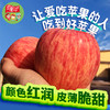 苹果水果新鲜水果陕西苹果红富士苹果当季10红苹果礼斤白水苹果脆