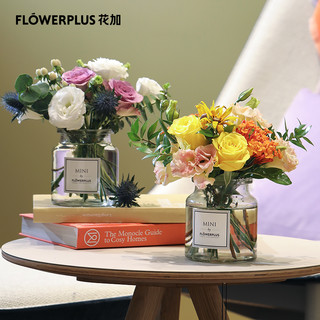 FlowerPlus花加桌花混搭花束家用插花装饰包月订阅花（订三个月（隔周配送，共12束/6次），周一收花）