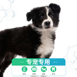 边牧狗粮专用5斤装成犬幼犬通用型中大型犬补钙10边境牧羊犬冻干