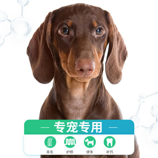 纽尚腊肠犬狗粮成犬专用10斤 小型犬吉娃娃小鹿犬通用型狗粮5kg