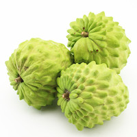 韶云山 释迦果 3斤中果