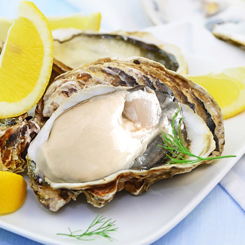 弘运德 乳山生蚝5xl号 净重4斤(约8-10只)