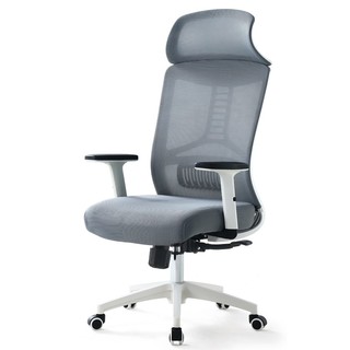 泉枫 电脑椅家用办公椅舒适久坐可躺靠背椅子电竞椅人体工学椅座椅 S167-02-白灰