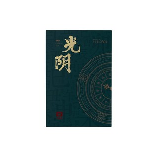 TAETEA 大益 光阴 普洱生茶 250g