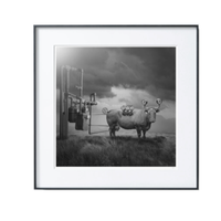 PICA Photo 拾相记 托马什·扎切纽克 Tomasz Zaczeniuk《蒸汽牛》57x57cm 艺术纸 石墨黑合金框