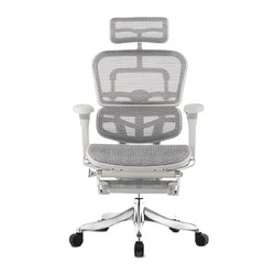 Ergonor 保友办公家具 金豪E2 人体工学电脑椅 灰框银白色 带躺舒宝
