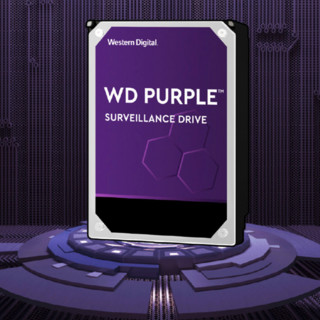 Western Digital 西部数据 紫盘系列 3.5英寸 监控级硬盘 4TB（CMR、256MB）WD42EJRX