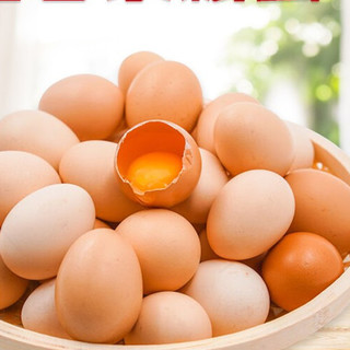 芮瑞 散养土鸡蛋