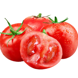 新鲜西红柿普罗旺斯番茄 净重5斤