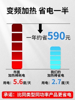 森森龙鱼缸加热棒自动恒温省电加温棒水族箱加温器变频数显 1000W（300W幻影智能变频省电款（超温保护+离水断电）20.5cm）