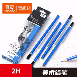 truecolor 真彩 素描铅笔12支套装成人画画工具2272h学生美术用品初学绘画笔