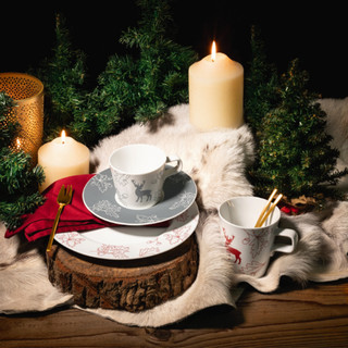 SeltmannWeiden圣诞礼物德国咖啡套装家用餐具盘子圣诞驯鹿礼品（灰色平盘  24cm）