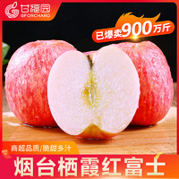 烟台红富士苹果水果9斤新鲜山东栖霞特产圣诞平安果当季整箱5包邮（75mm（含）-80mm(不含)、10斤）