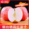 烟台红富士苹果水果9斤新鲜山东栖霞特产圣诞平安果当季整箱5包邮（85mm（含）-90mm(不含)、10斤）