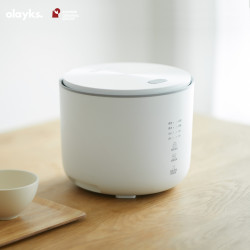 olayks欧莱克电饭煲小2升迷你电饭锅单人煮粥陶瓷釉内胆小型蒸饭锅1人