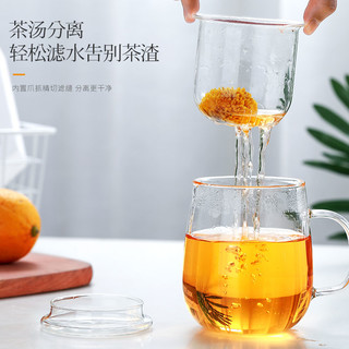 玻璃杯家用茶水分离泡茶杯网红男女透明带把带盖过滤花茶杯水杯子