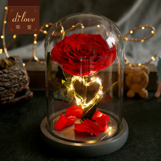 永生花礼盒玻璃罩玫瑰花创意摆件圣诞节礼物送女友生日礼品送闺蜜（一见倾心）