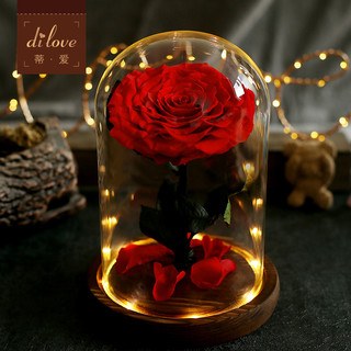 永生花礼盒玻璃罩玫瑰花创意摆件圣诞节礼物送女友生日礼品送闺蜜（与你相伴（无灯光））
