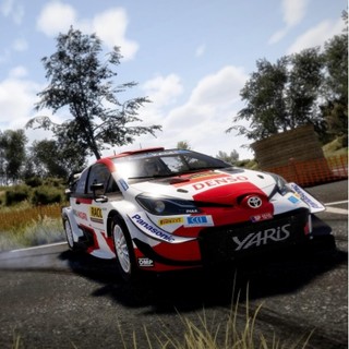 Nacon《WRC 9 FIA世界拉力锦标赛》PC数字版游戏
